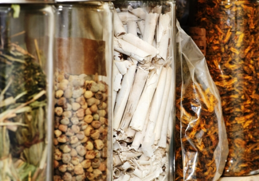 Vitalità e bellezza